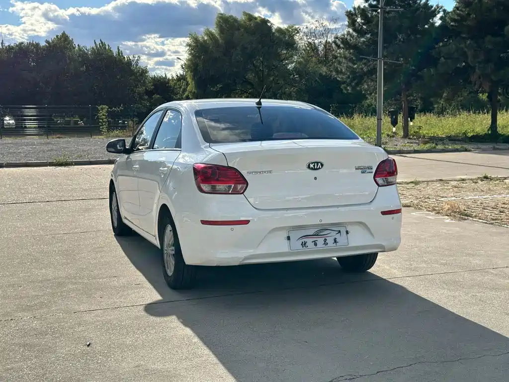 Фото 4 - Kia Pegas