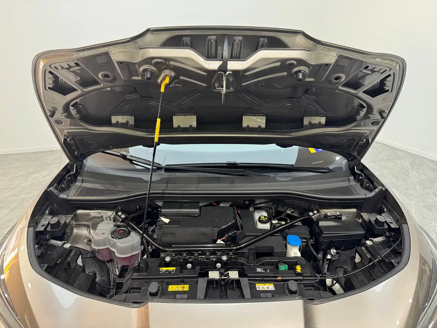 VOLKSWAGEN WITH THE CROWD 06