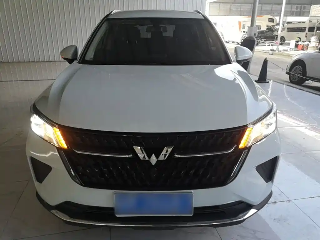 Wuling Motors Wuling Xingchen 2023 2022 2.0L DHT Electric Power Edition