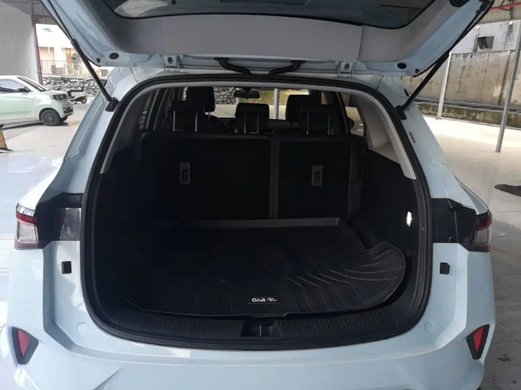Wuling Motors Wuling Xingchen 2023 2022 2.0L DHT Electric Power Edition