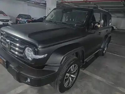 Tank 300