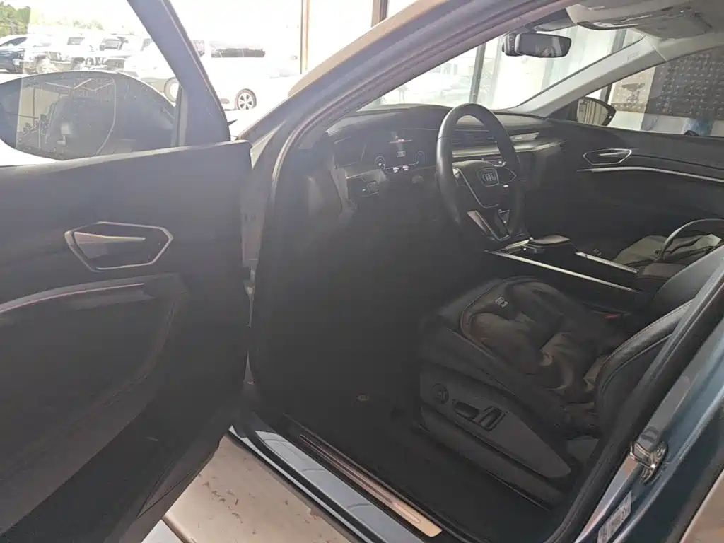 Audi e-tron 2023 2021 50 quattro Luxury