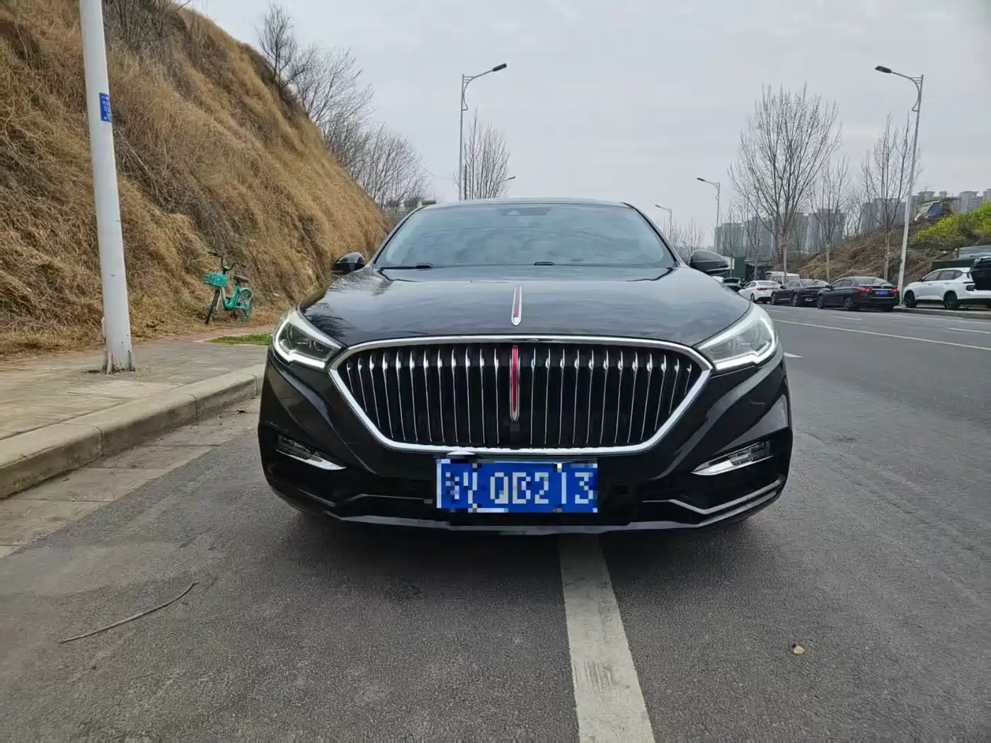 Hongqi HONGQI H5