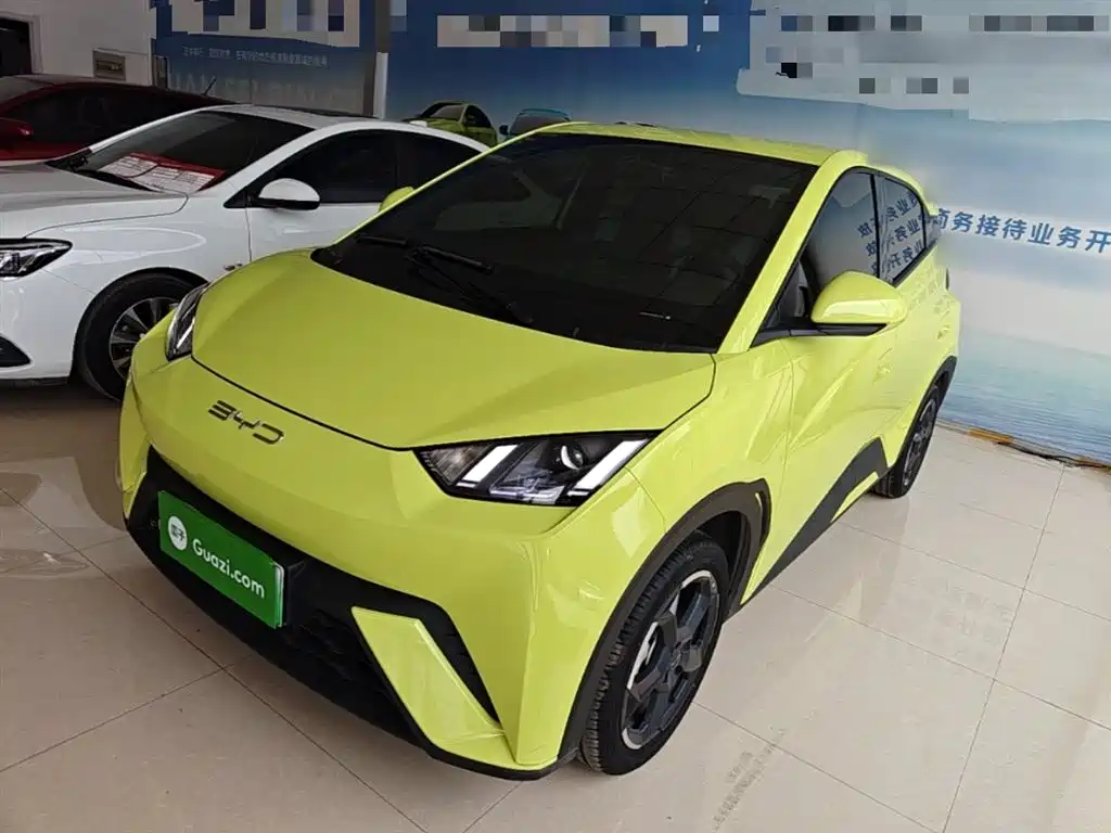 BYD Seagull 2024 Glory Edition 305km Vitality Edition фото 2