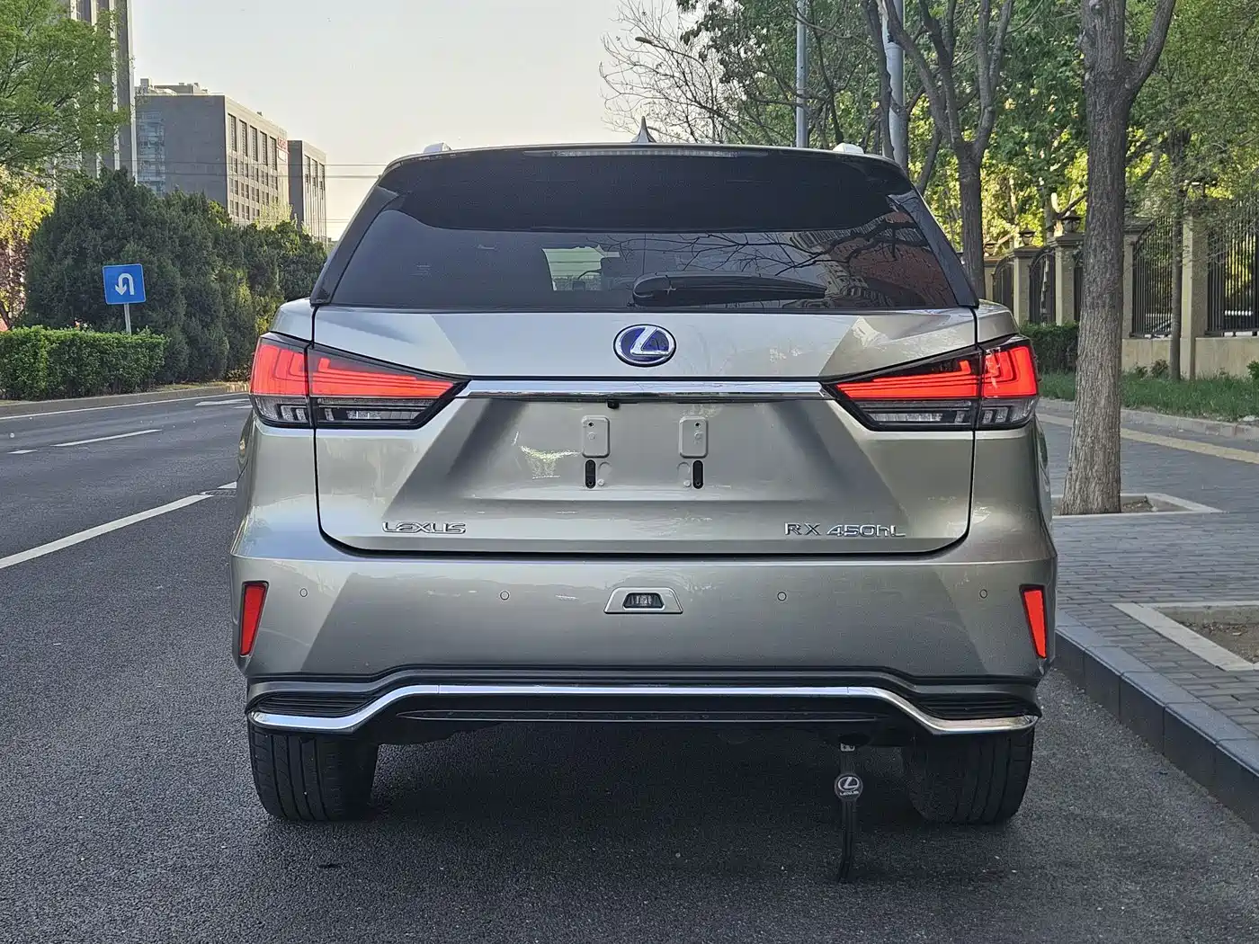 LEXUS RX