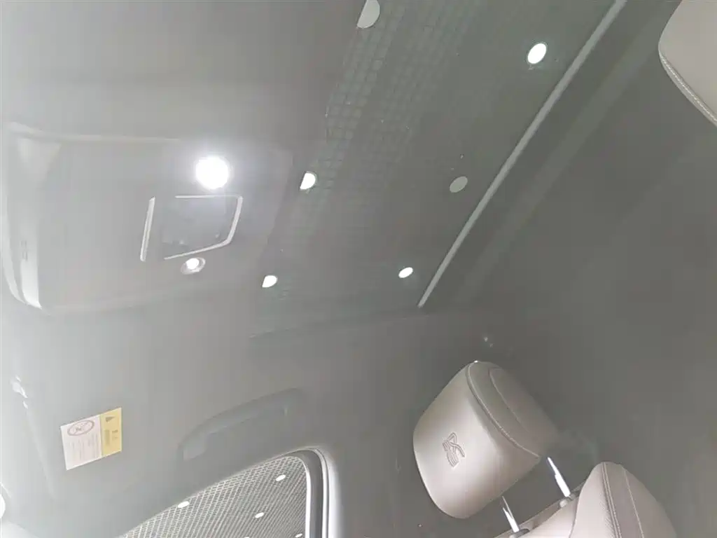 BYD Han 2021 EV Standard Range Luxury фото 12