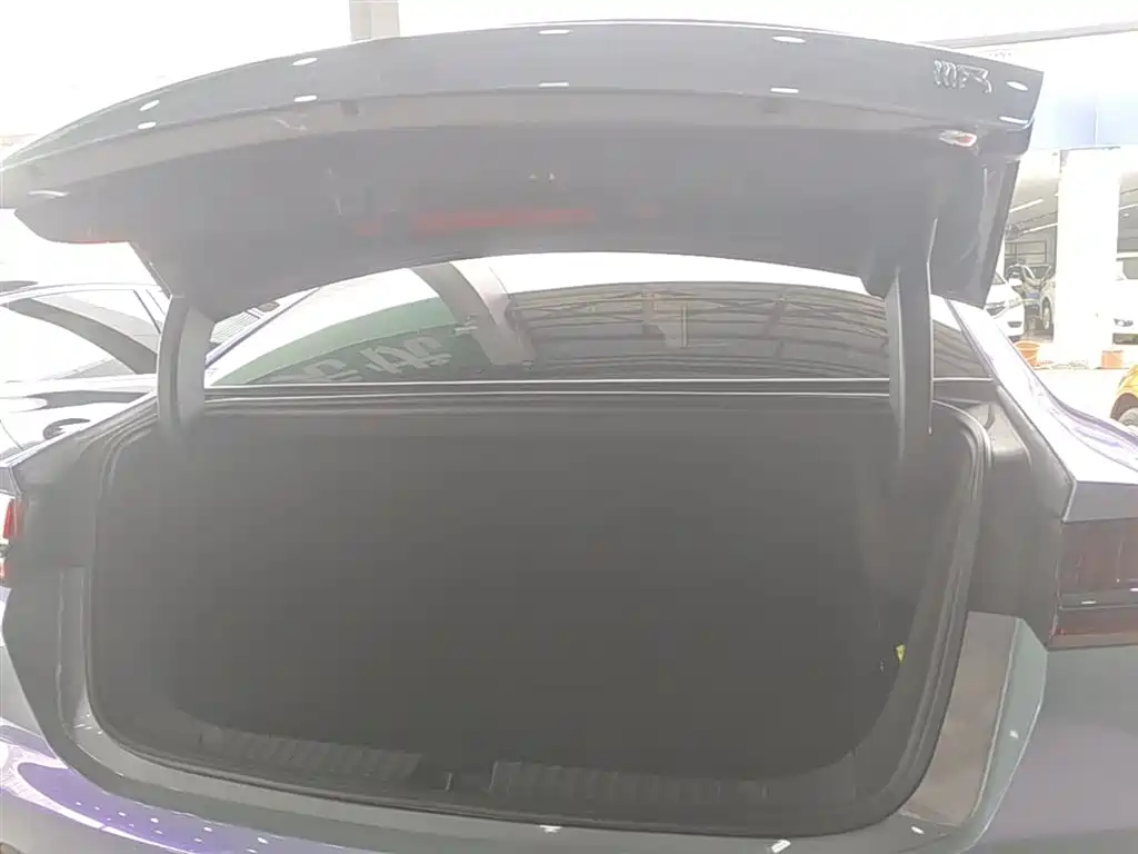 BYD Han 2021 EV Standard Range Luxury фото 13