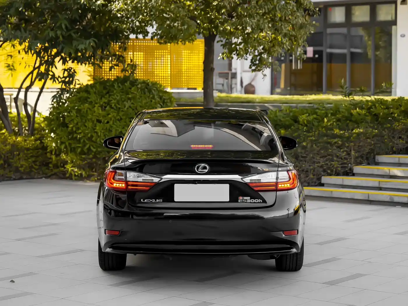 Lexus ES 2015 300h Luxury Edition фото 3