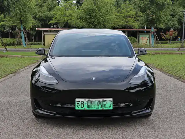 Tesla Model 3 Задний привод