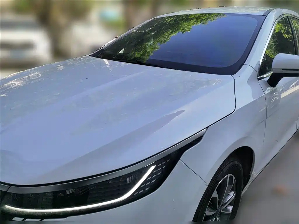 BYD Destroyer 05 2024 Glory Edition DM-i 55KM Luxury фото 2