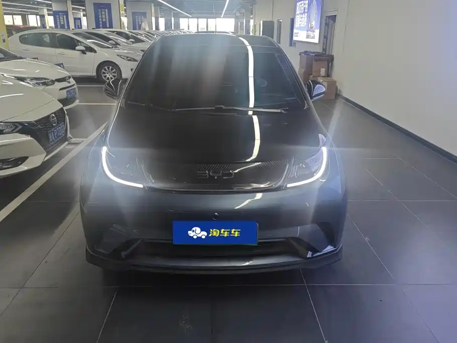 Photo 2 - BYD Dolphin