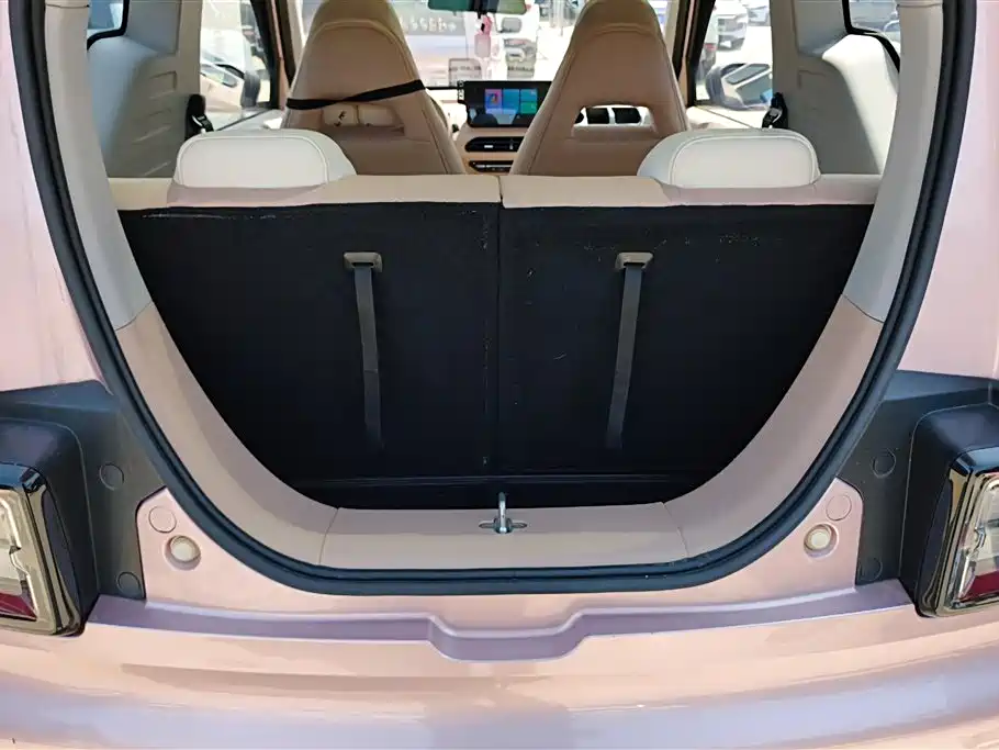 Geely Galaxy Panda 2023 Panda Mini 200km Lively Bear фото 4