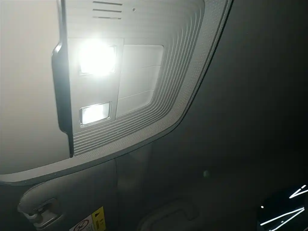 BYD Destroyer 05 2024 Glory Edition DM-i 55KM Luxury фото 18