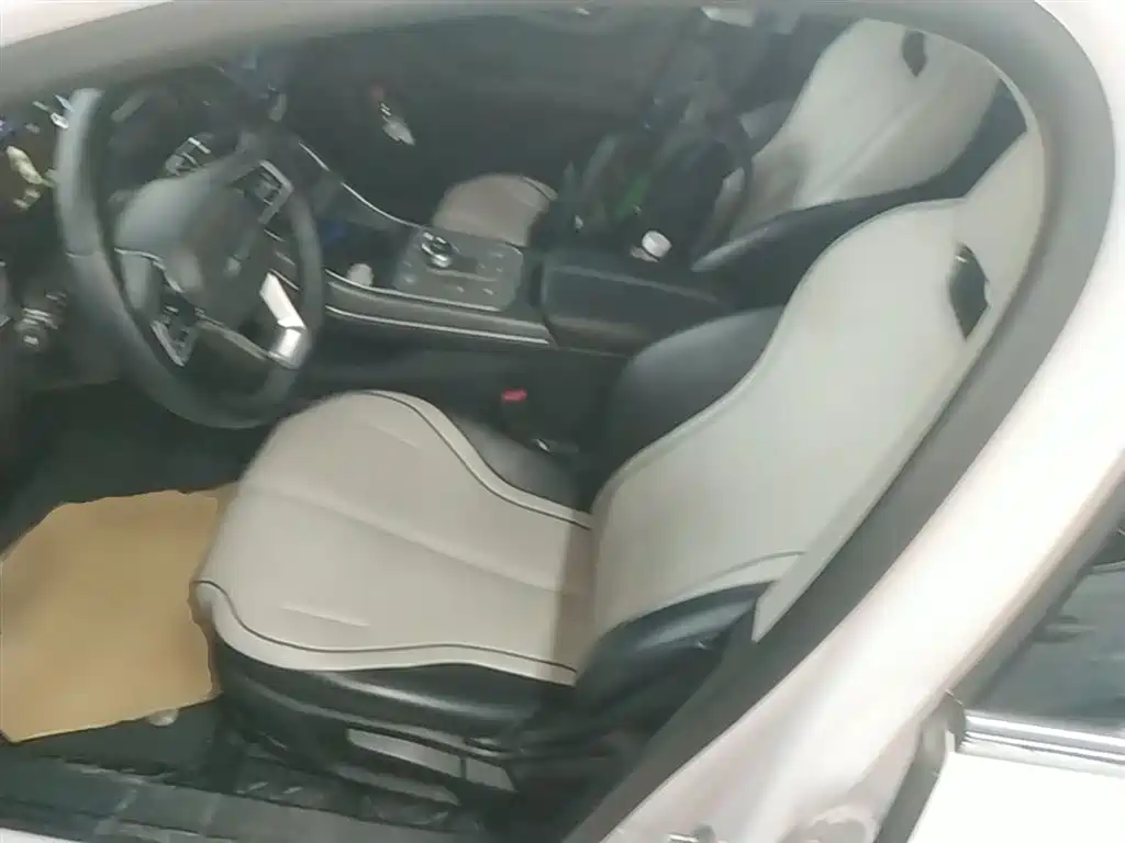 BYD Destroyer 05 2024 Glory Edition DM-i 55KM Luxury фото 15