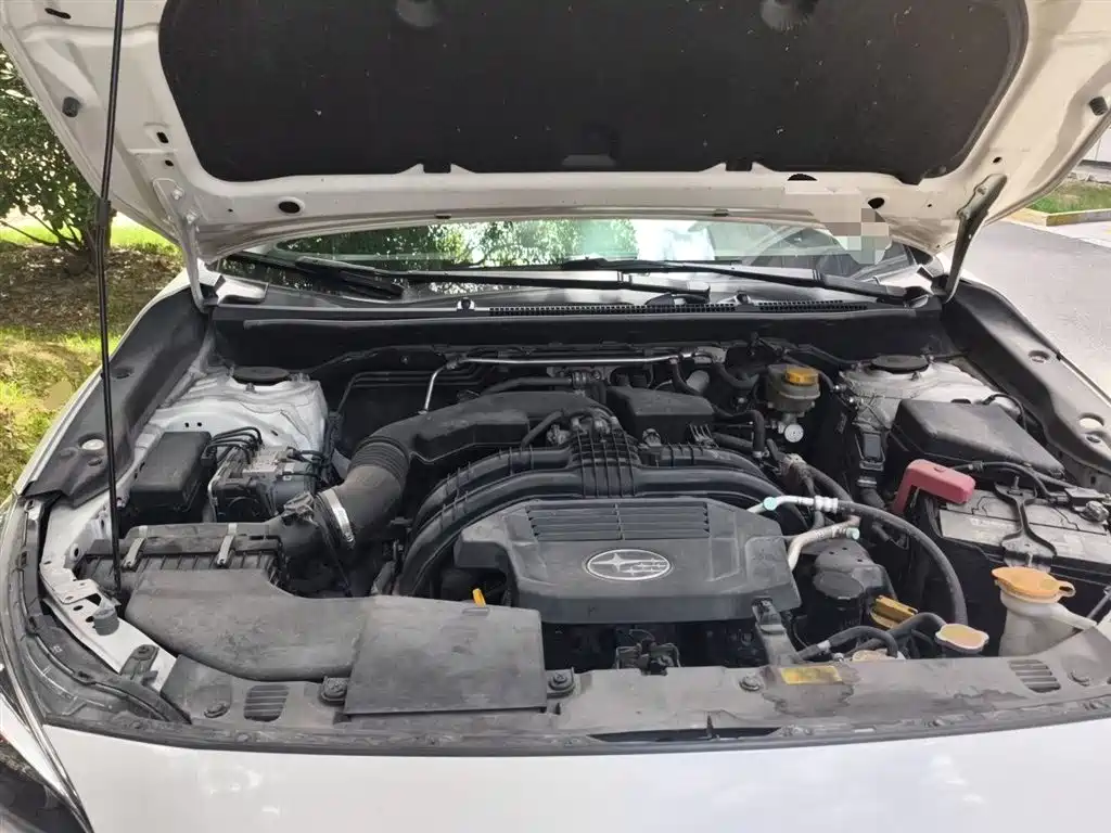 Subaru XV 2019 2.0i AWD Luxury EyeSight (China V) фото 16