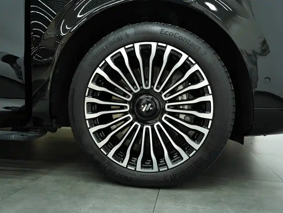 Voyah Auto VOYAH Zhuiguang L 2025 2025 Mid-configuration Model