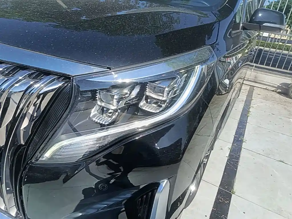 GAC Trumpchi Trumpchi M8 2021 Master Series 390T Prestige Edition фото 24