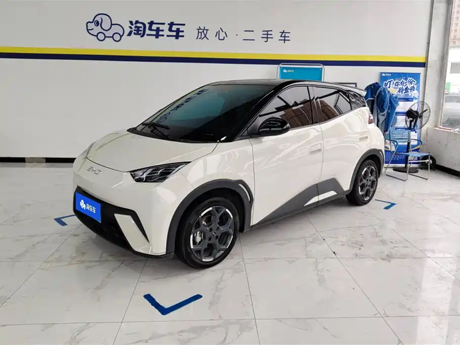 BYD Seagull 2025 305km Freedom