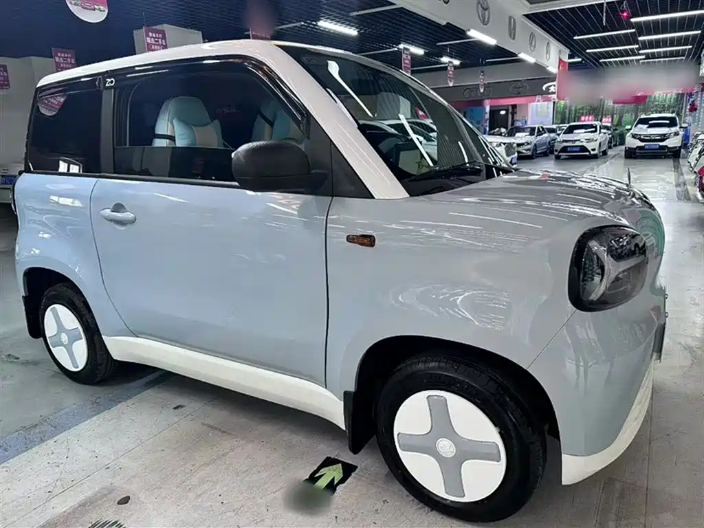 Zhido Rainbow 2025 2025 Pro 205km Sunshine Edition