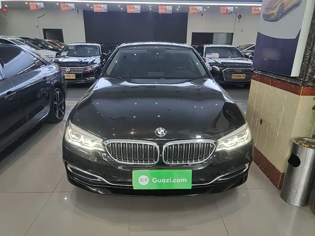 BMW 5 Series 2019 Facelift 530Li Premium Luxury Package фото 3