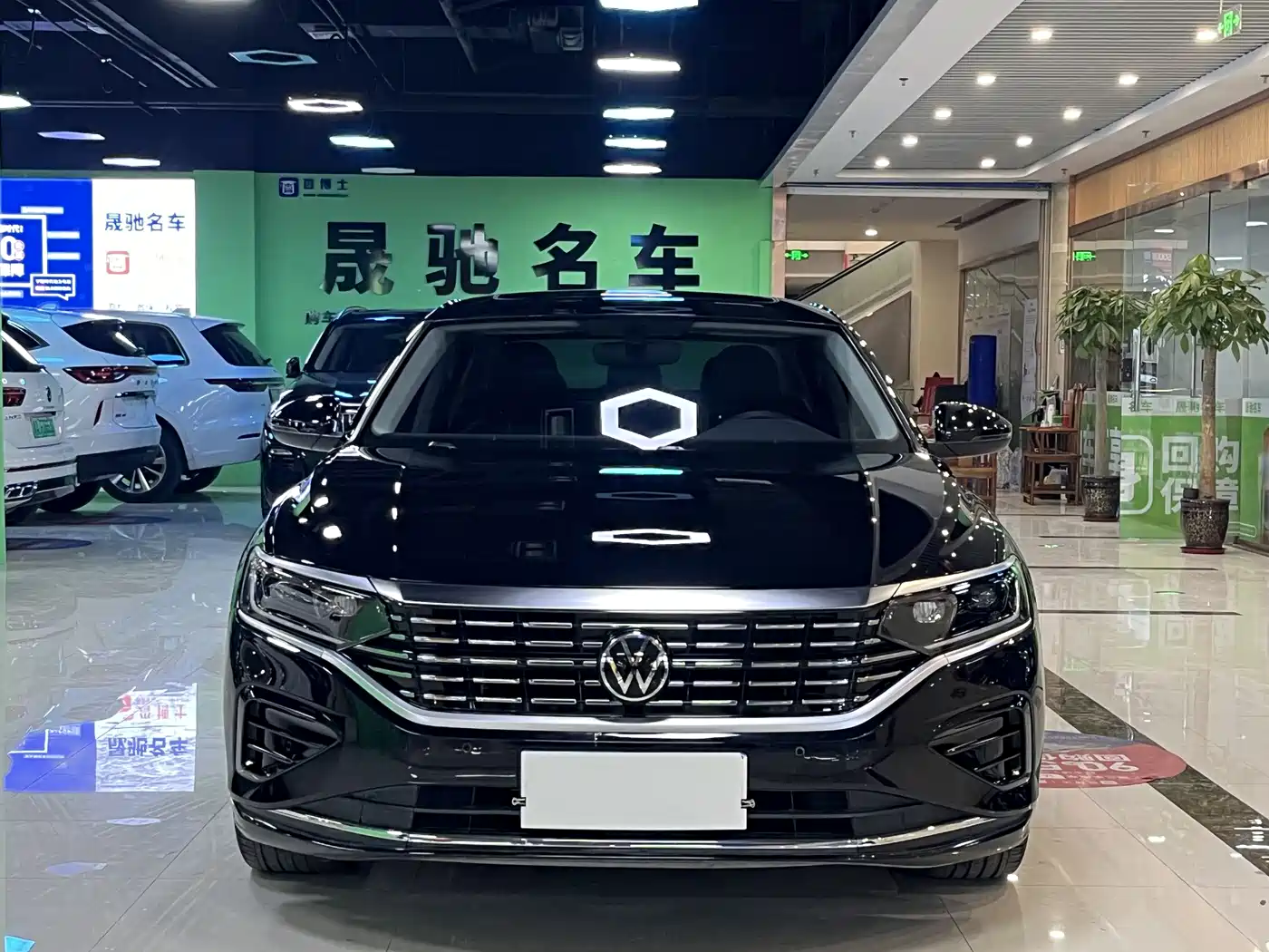 Volkswagen Passat 2023 330TSI Elite Edition фото 2