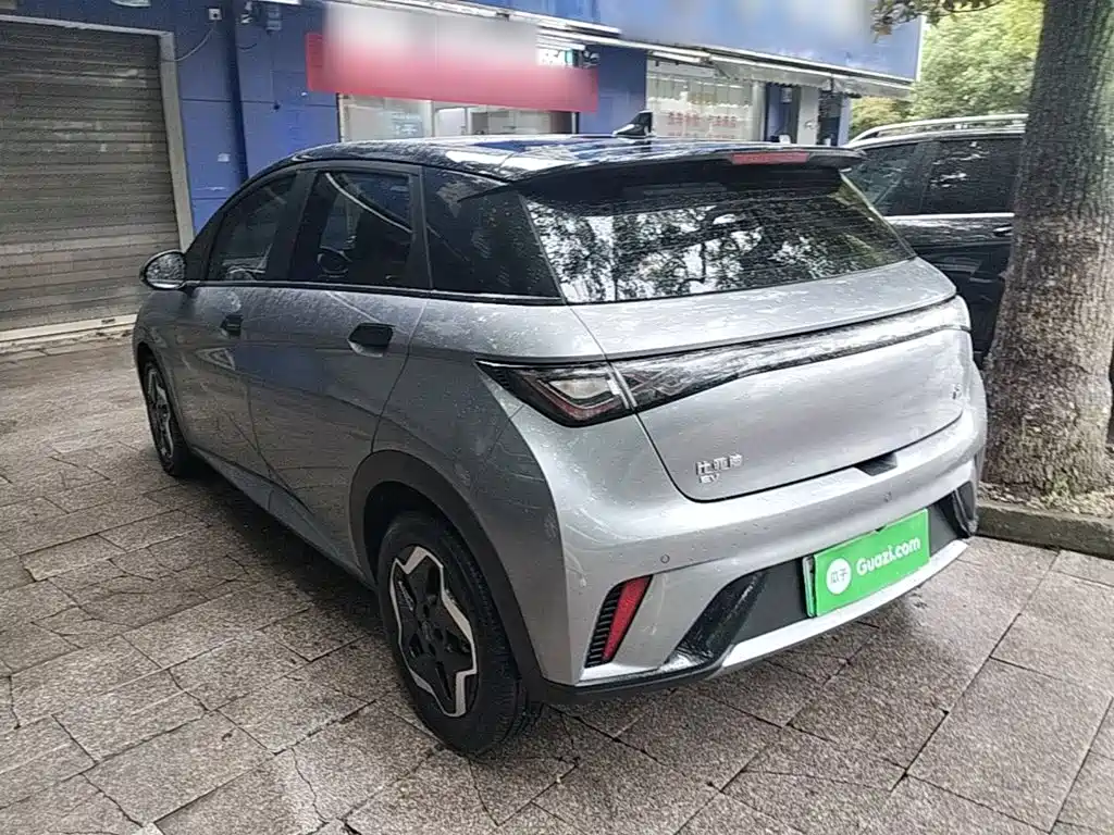 Фото 5 - BYD Dolphin
