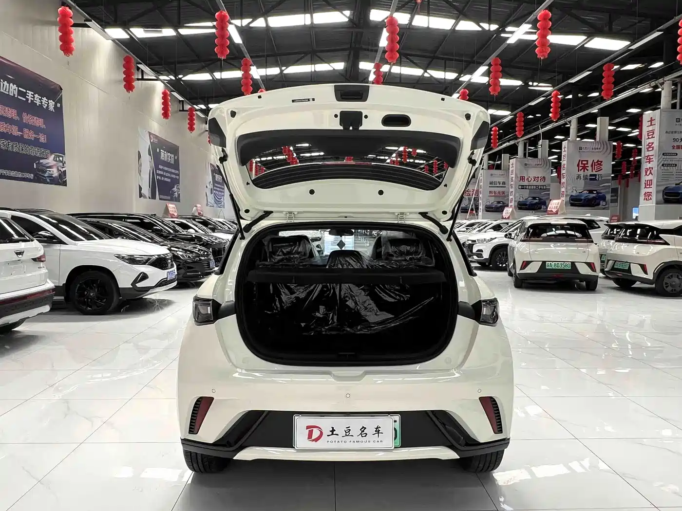 BYD Dolphin 2026 2025 420km Freedom Edition