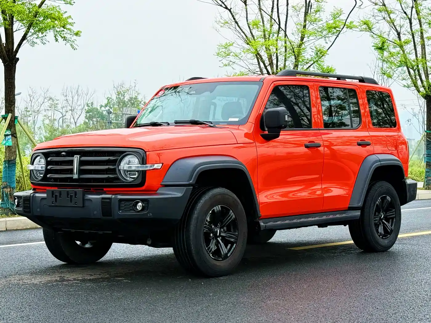 Tank 300 2021 Off-road Version 2.0T Conqueror