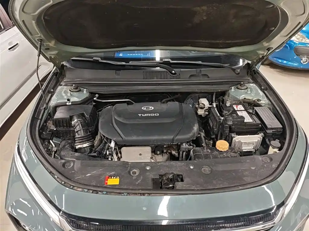 Baojun Valli 2021 2021 1.5T Nagqu Starry Sky CVT Flagship Model