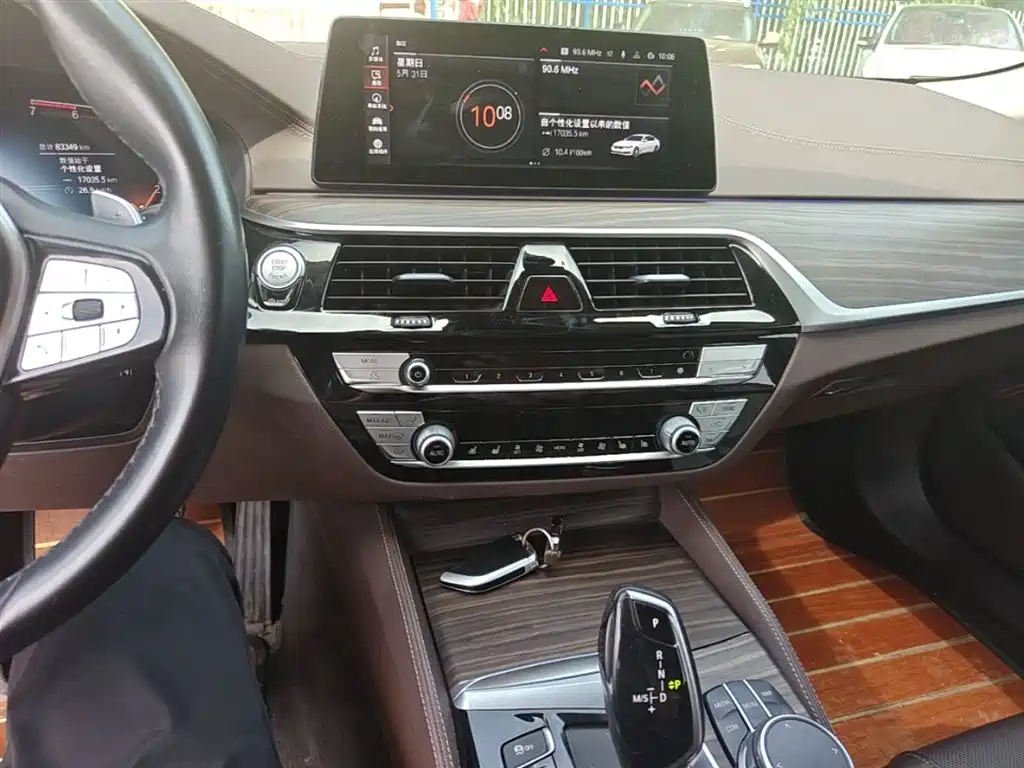 BMW 5 Series 2020 530Li xDrive Luxury Package фото 13