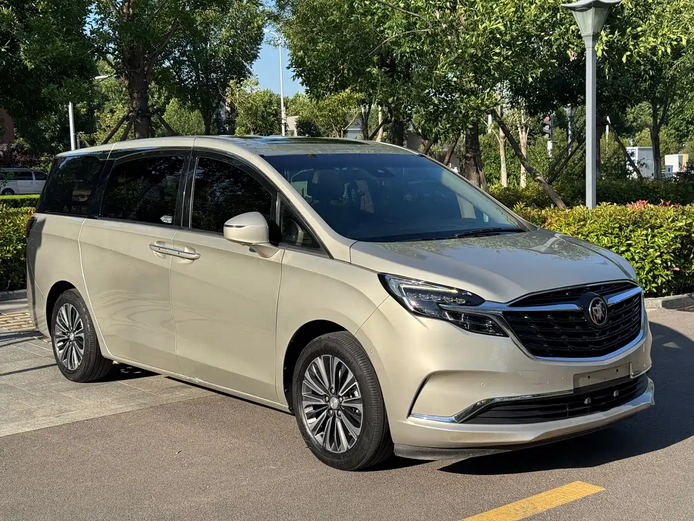 Buick GL8 2020 Model ES Landglory 653T Luxury фото 3