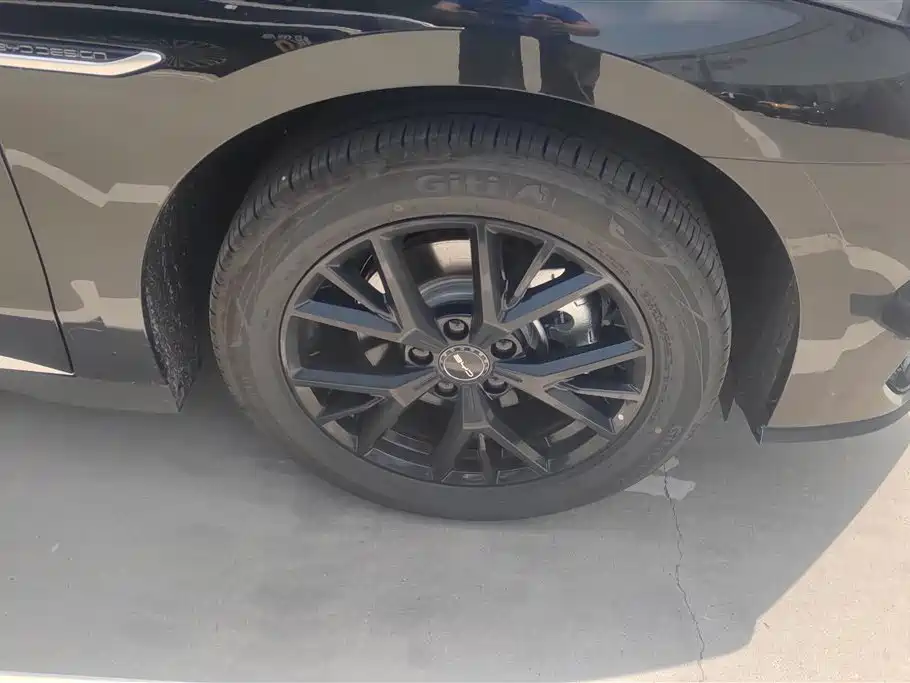 BYD e9 2025 Base Model фото 6