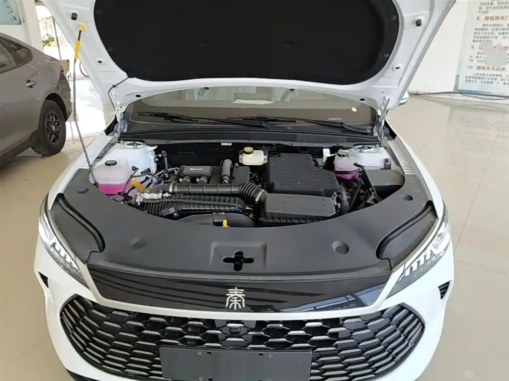BYD Qin PLUS 2026 DM-i Smart Edition 128KM Progressive фото 20