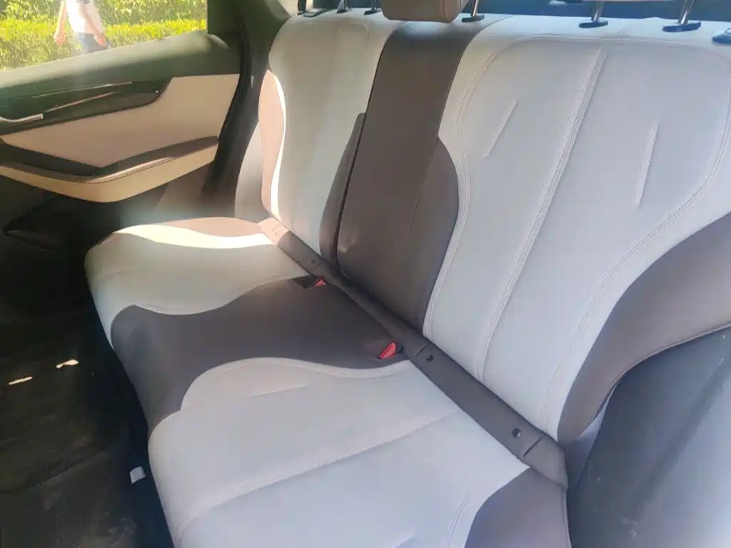 BYD Qin PLUS 2024 Glory Edition DM-i 55KM Leading фото 14