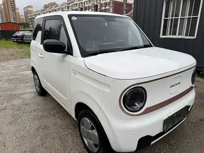 Geely Panda