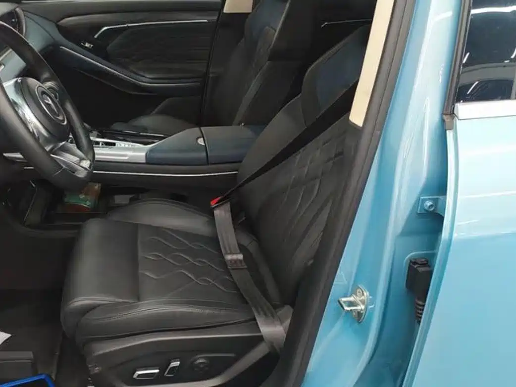 Voyah Auto VOYAH FREE 2021 AWD Standard Range Extender Exclusive Luxury Package фото 7