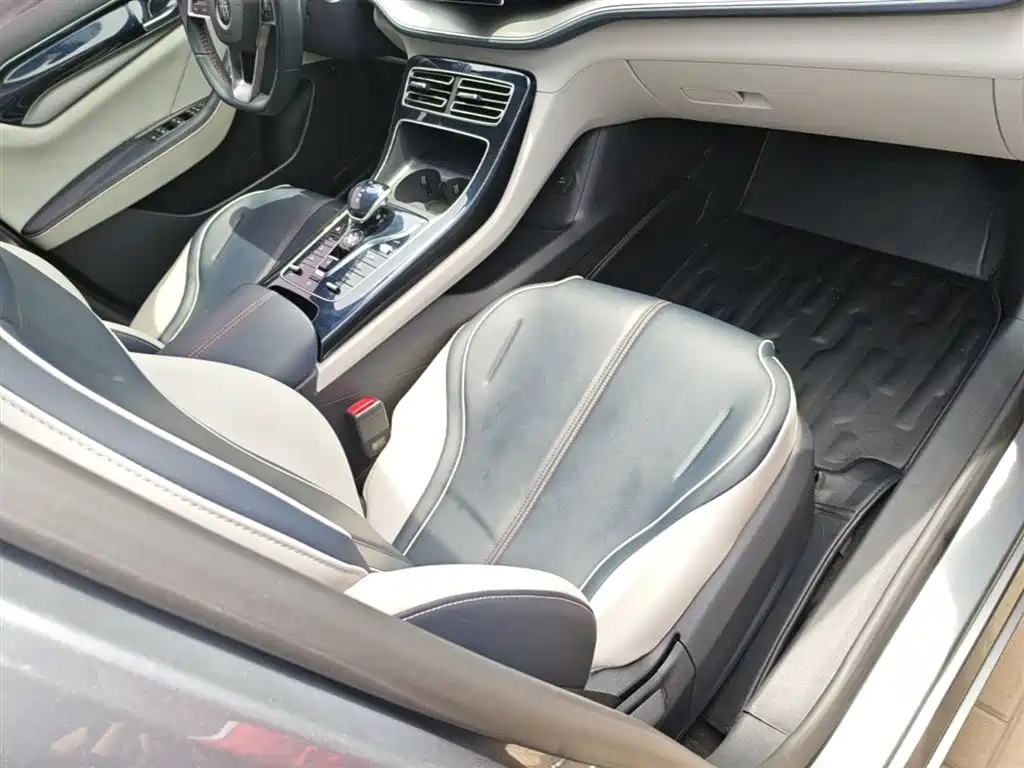 BYD Qin PLUS 2021 DM-i 120KM Premium фото 25