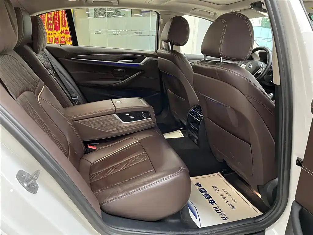 BMW 5 Series 2020 530Li xDrive Luxury Package фото 18