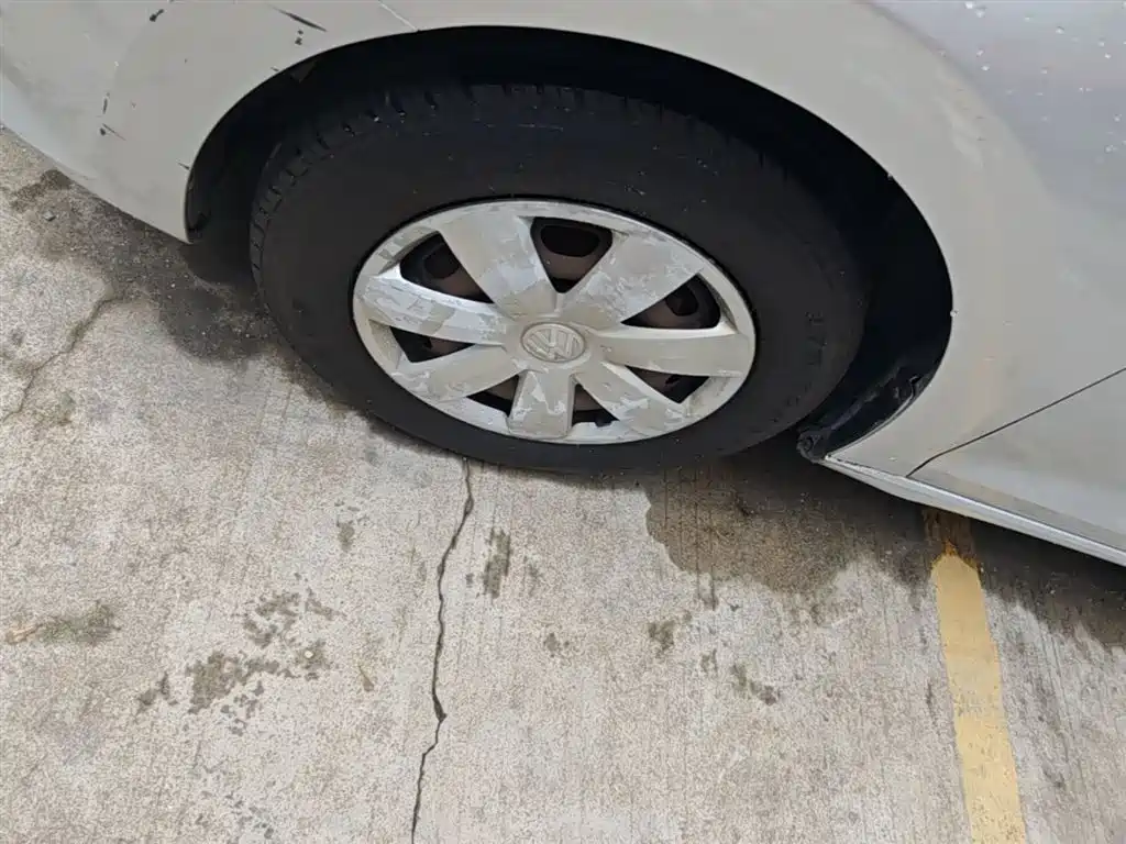 Volkswagen Santana 2015 1.4L Manual Trend Edition фото 23