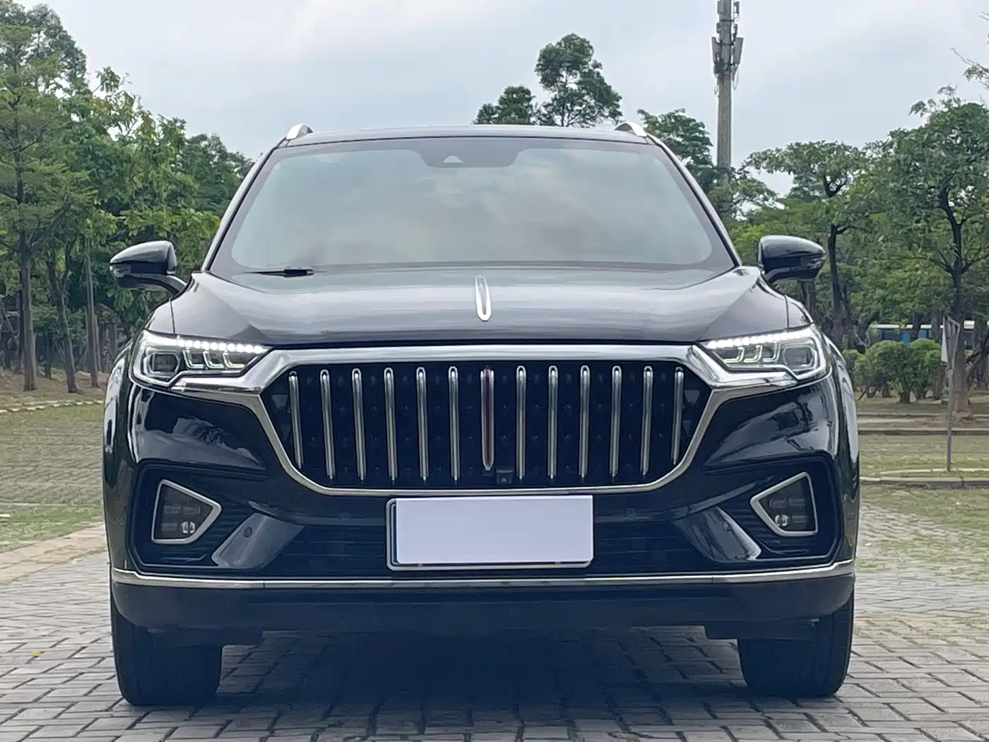 Hongqi HS5 2022 Facelift 2.0T Smart Flag Enjoyment Edition фото 2