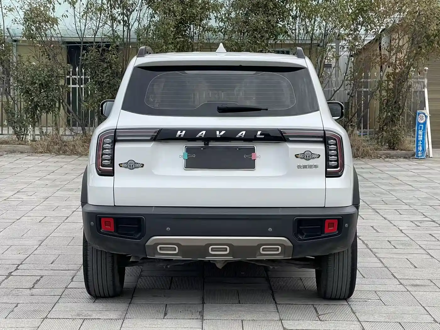 HAVAL BIG DOG