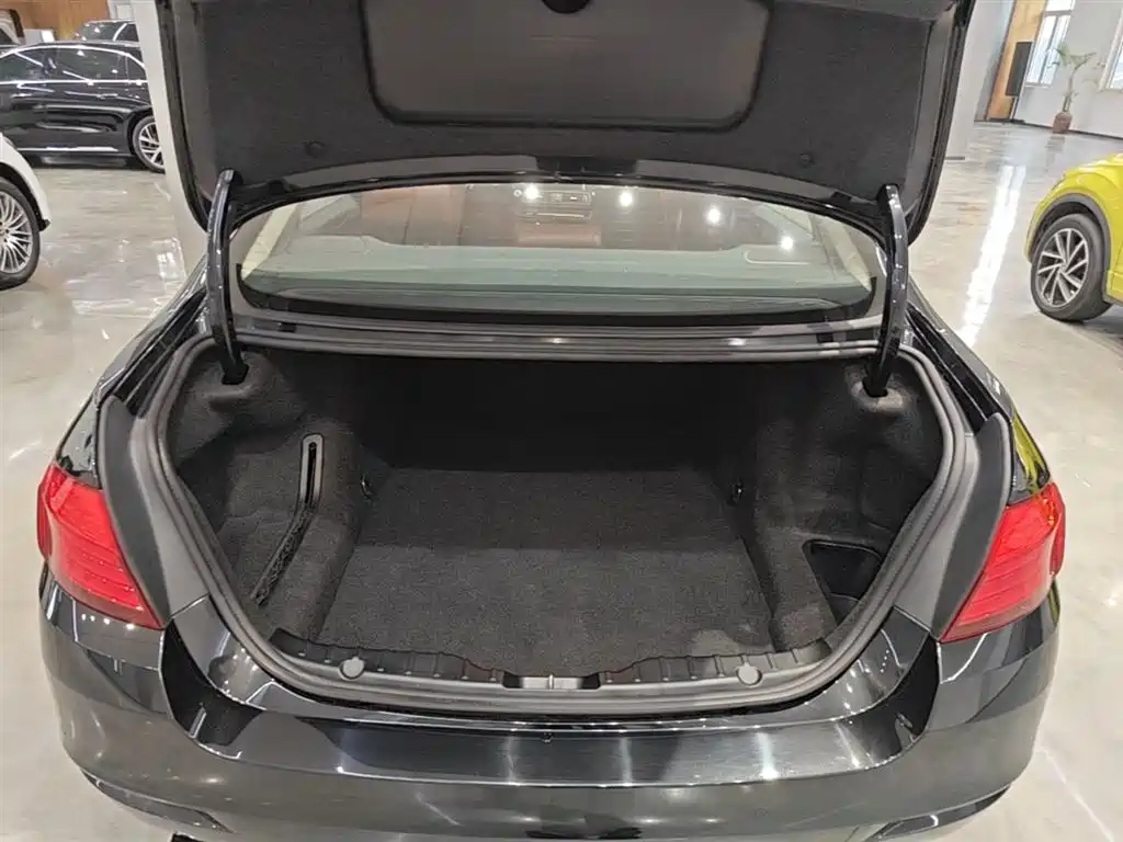 BMW 5 Series 2014 525Li Leading фото 19