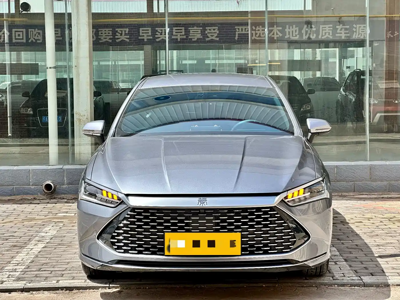 BYD Qin PLUS 2024 Glory Edition DM-i 55KM Leading фото 2