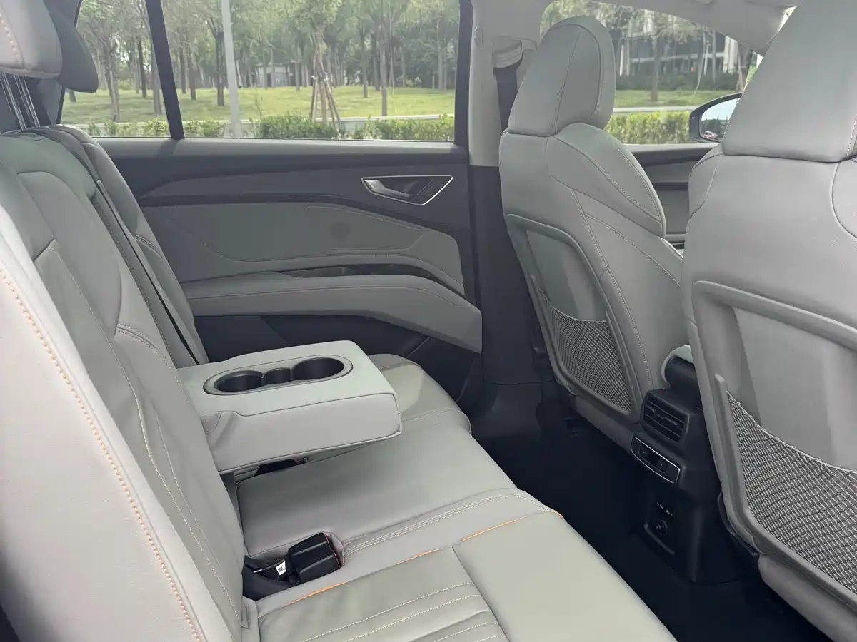 Audi Q5 e-tron 2022 40 e-tron Starlight Edition Brocade Package фото 18