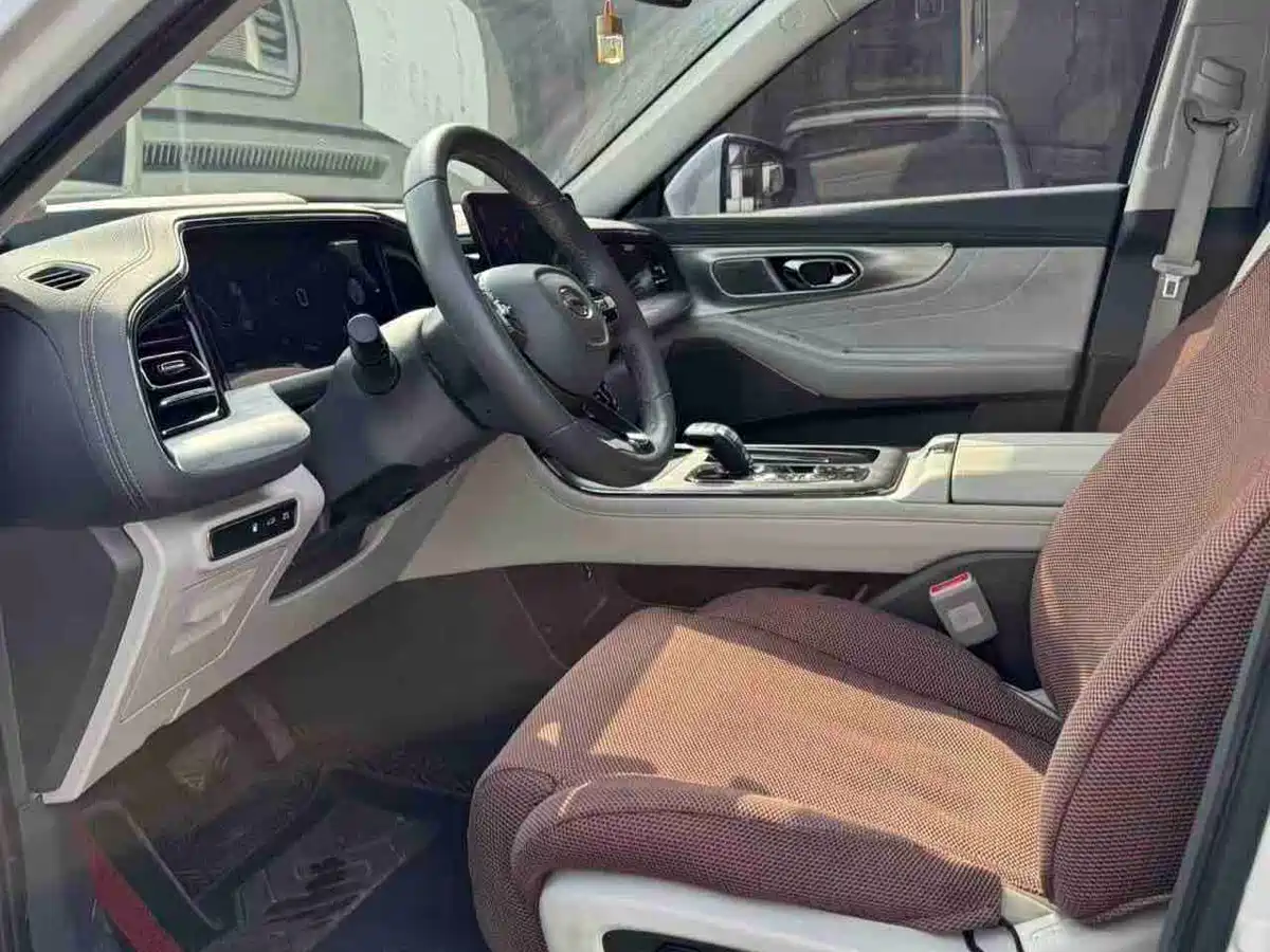 GAC Trumpchi Trumpchi GS8 2022 Dual Engine Series 2.0TM 4WD Premium Edition (6-Seater) фото 6
