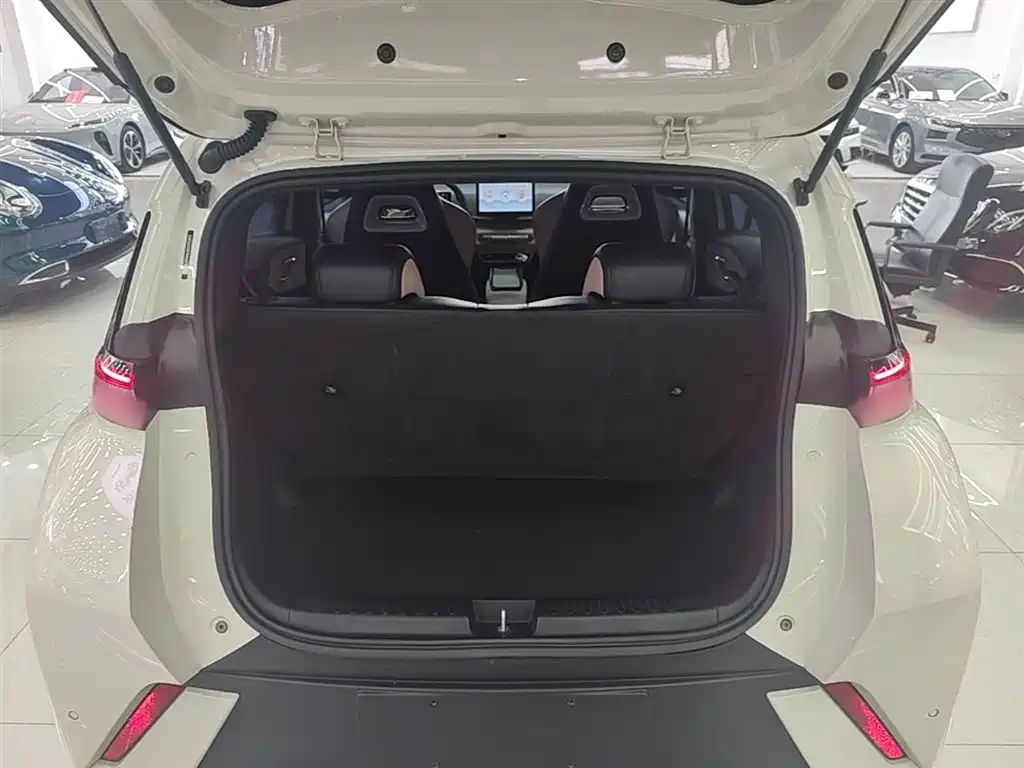BYD Seagull 2023 Vitality Edition фото 19