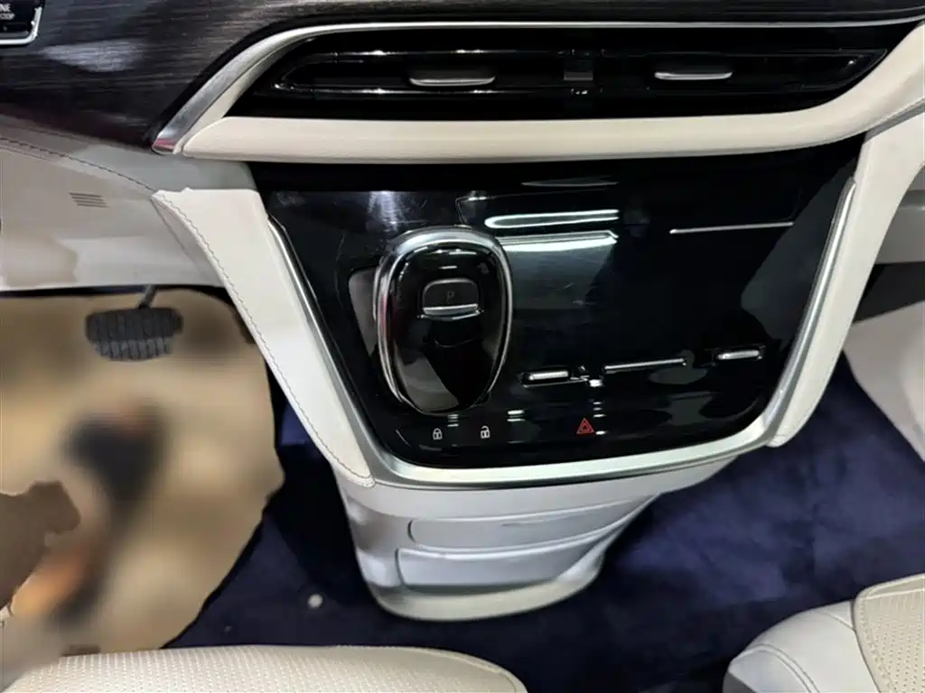 Buick GL8 2020 Avenir Four-Seat Prestige Edition фото 16