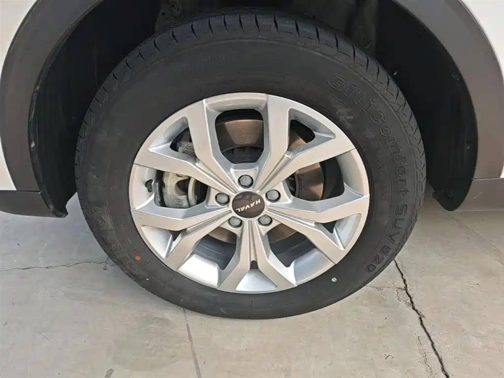 Haval H6 2020 1.5GDIT Automatic Platinum Urban Edition фото 23