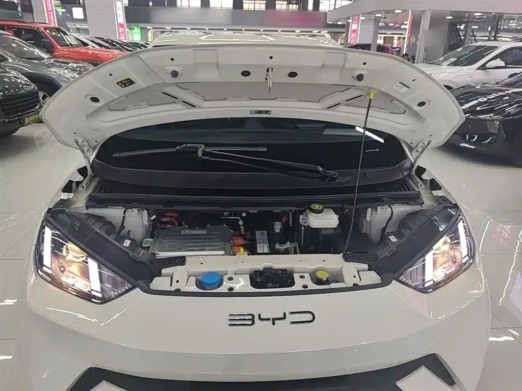 BYD Seagull 2023 Vitality Edition фото 20