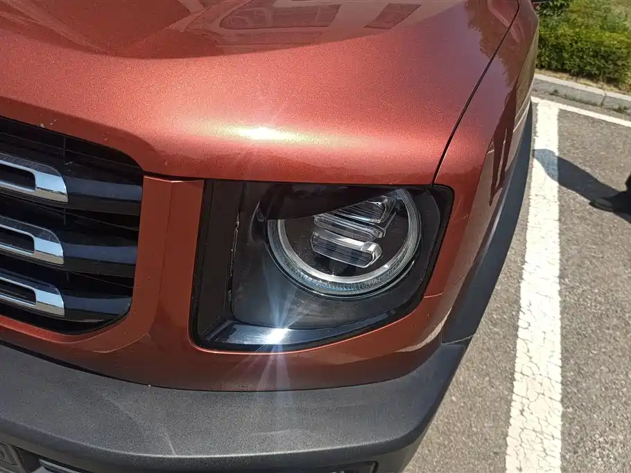 Haval Big Dog 2021 1.5T DCT 2WD Malinois Edition фото 5